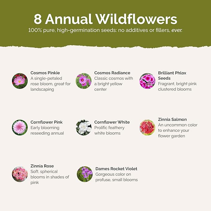 Eden Brothers Tickled Pink Flower Mixed Seeds for Planting, 5 lb, 2,400,000+ Seeds with Cosmos, Cornflower, Zinnia | Attracts Pollinators, Plant in Spring or Fall, Zones 3, 4, 5, 6, 7, 8, 9, 10