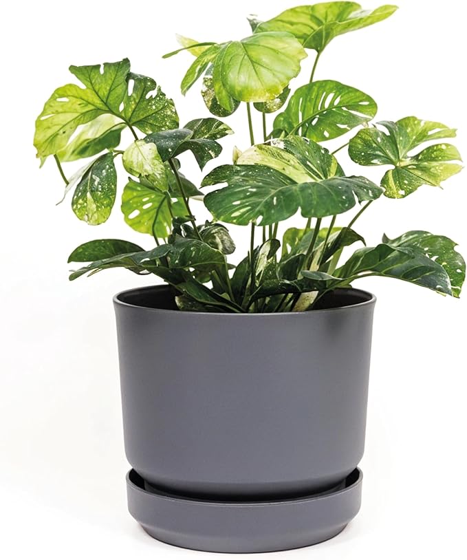 Elly Décor 12 inch Plastic Cylinder Planter Pot with Self-Watering Saucer and Drainage Hole,Lightweight & Extremely Durable, 12"x 12", Gray