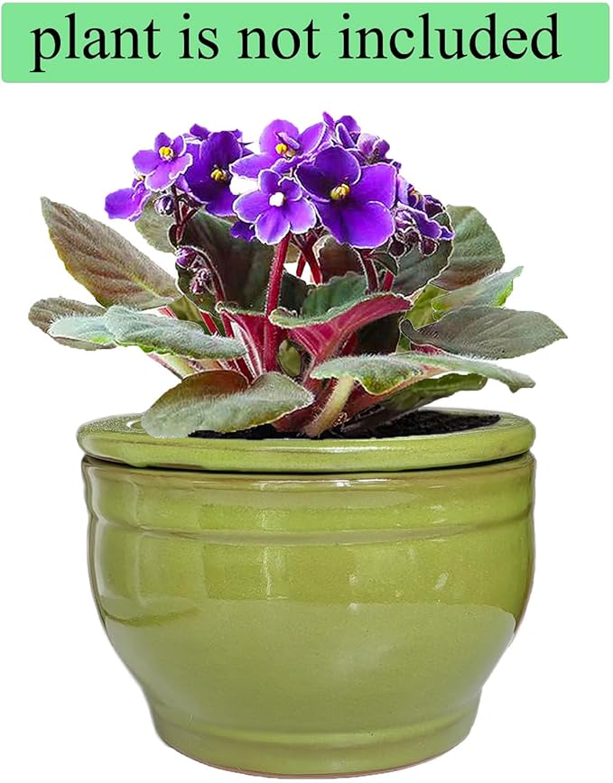 African Violet Pots Self Watering Round Ceramic Violet Pot (Green, 6 inch)