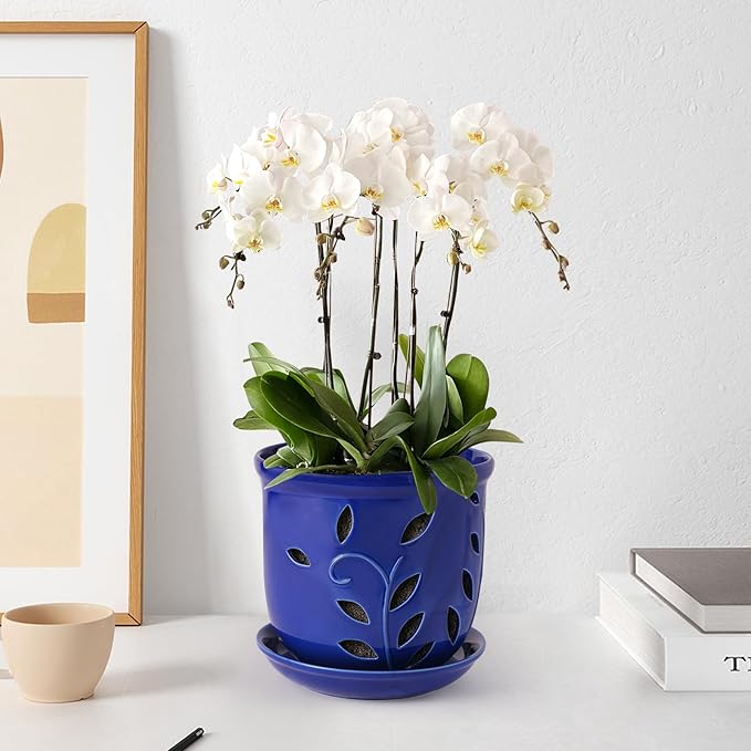 6.1 in Ceramic Orchid Pot with Holes & Saucers, Large Orchid Planter for Indoor Outdoor Home Decor, Flower Plant Pot with Drainage for Repotting, Blue