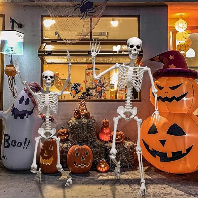 DINESIL 6Ft/185cm Halloween Skeleton, Life Size Skeleton Halloween Realistic Full Body Bones with Movable Joints for Halloween Party Haunted House Indoor Outdoor Decoration