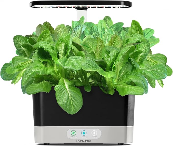 AeroGarden Mixed Romaine Lettuce Seed Pod Kit (6-pod)