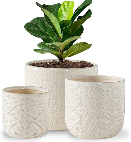 Docrin Ceramic Plant Pots Indoor：6.5+5.3+4 Inch Planters with Drainage Holes for Home/Office - Set of 3 / White