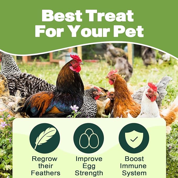 10LB Dried Black Soldier Fly Larvae, 86X Calcium Than Dried Mealworms, High Protein Non-GMO Organic Chicken Feed