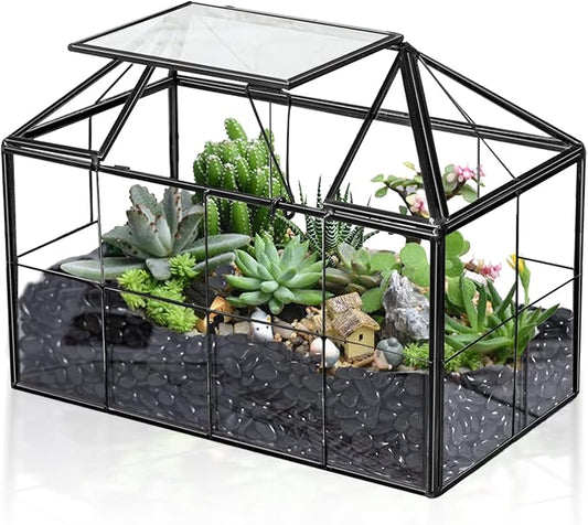 Ferrisland Glass Terrarium Greenhouse House Shape Display Box Planter for Succulents Plant Terrarium Container Mordern Tabletop Decor Gardern DIY Kit