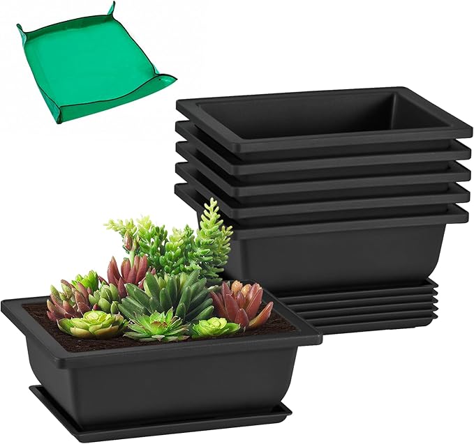 GROWNEER 6 Packs 6.5 Inch Bonsai Training Pots with Drainage Humidity Trays, Bonsai Tree Kits with 1 Repotting Mat, Growing Planter for Garden, Yard, Balcony, Office, Indoor, Outdoor