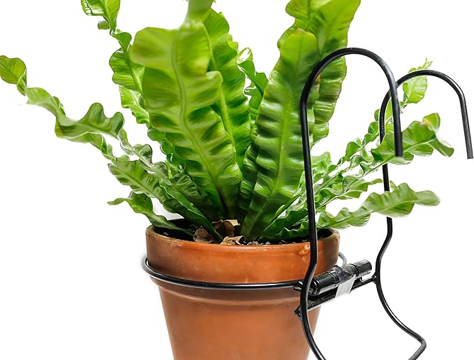 6 Pieces, 6 inches Iron Hanging Flower Pot. Metal Plant Wall Hanger, Vertical Garden. Planter Hook Ring, Rail Metal Fence. Indoor and Outdoor. Yard Garden. Wire Trellis. Collapsible Bracket. (Black)