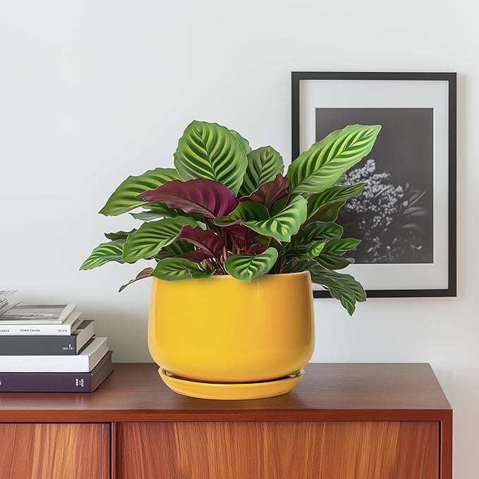 G EPGardening Ceramic Plant Pot - 6 Inch Ceramic Planter with Drainage Hole and Tray, Modern Round Planter, Flower Pot for Indoor Outdoor Plants, Plants Lovers Gifts, House Garden Decor, Yellow