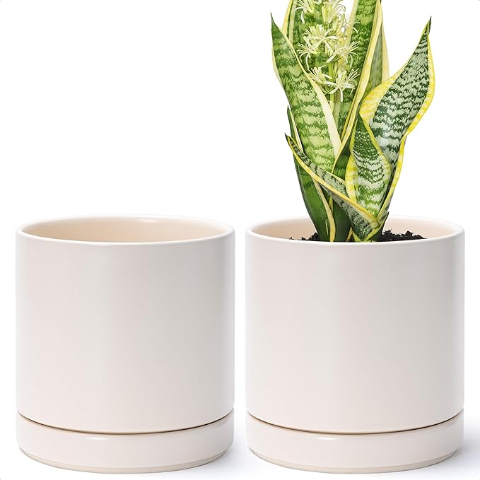 D'vine Dev Set of 2 Plants Pots, 6.5 Inch Ceramic Planter Pot for Plants with Drainage Hole and Saucer, Oatmeal, 94-V-C-8