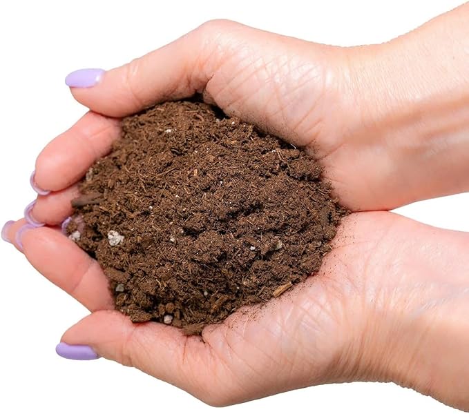 Fiddle Leaf Fig House Plant Soil Premium All Purpose Blend - Peat Moss, New Zealand Bark, Coco Chips and Fibers, Perlite - 1 Quart Bag