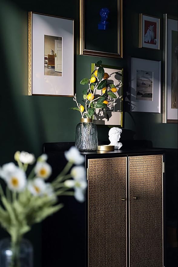 Dimoon 78.7''x15.7'' Emerald Dark Skin Peel and Stick Wallpaper Contact Paper Modern Self Adhesive Wall Paper Removable Renter Friendly Textured Solid Vinyl Roll (78.7''x15.7'',Emerald Dark Skin)