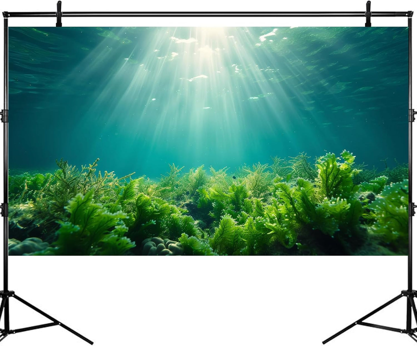 Deep Ocean Fish Tank Background Under The Sea Aquatic Plants Aquarium Background Underwater Corals Sunray Terrarium Backgrounds Tropical Fish Ocean World Aquarium Backgrounds Decorations 60x24in