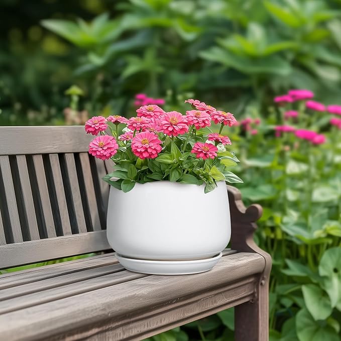 G EPGardening Ceramic Pots for Plants - 7 Inch Planter for Indoor Plants, Round Flower Pots with Drainage and Saucer, Modern Outdoor Planter, Garden Decor, Home Gifts, White