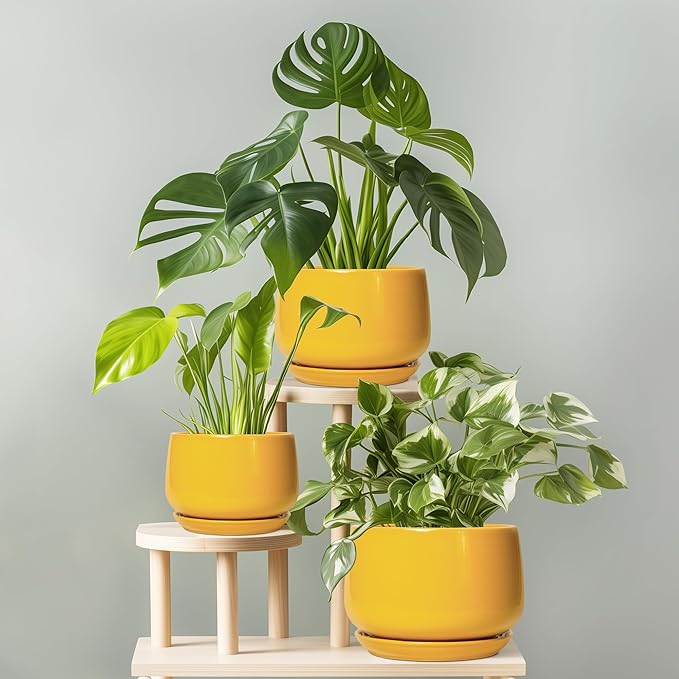 G EPGardening Ceramic Flower Pot - 9 Inch Plant Pots for Indoor Outdoor Plants, Round Ceramic Planter with Drainage and Plant Saucer, Modern Planter, Home Office Decor, Garden Gifts, Yellow