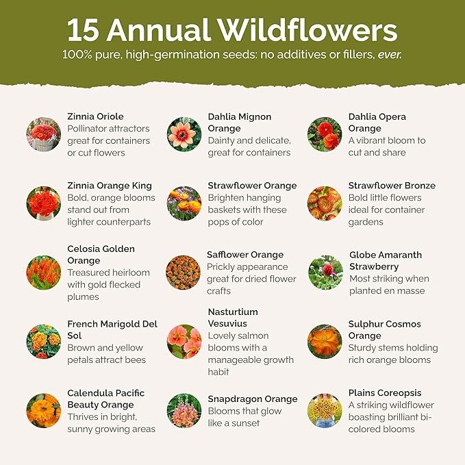 Eden Brothers Orange You Glad Flower Mixed Seeds for Planting, 1/4 lb, 120,000+ Seeds with Dahlia, Double Strawflower | Attracts Pollinators, Plant in Spring or Fall, Zones 3, 4, 5, 6, 7, 8, 9, 10