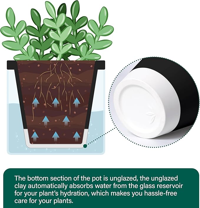 D'vine Dev 4 Inch Design Self Watering Planter for Indoor Plants, Black Terracotta Pot with Cylinder Glass Cup, 37-X-A-3