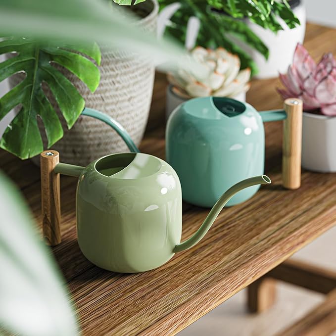 Green Moon Water Can Indoor Plant Mint Green 1.2L/41oz Metal Stainless Steel Water Can Indoor Outdoor with Long Spout for House Plant Bonsai Outdoor Garden Flowers