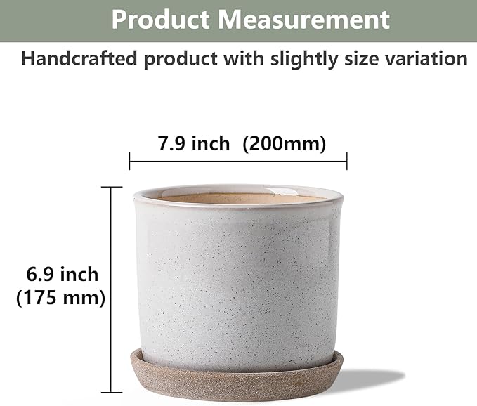 8 Inch Plant Pot: Ceramic Planter with Drainage Hole & Saucer - Cylinder Round Flowerpot for Indoor & Outdoor Plants - with Separate Tray for Home & Office - Retro Style, Grey