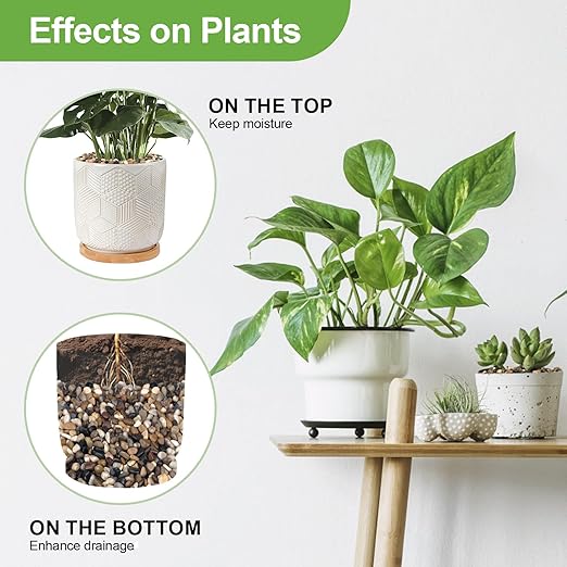 5 lbs Pebbles for Indoor Plants, Succulent, Bamboo, Vase, 3/8" Plant Rocks for Pots Indoor, Small River Rocks Decorative Pea Gravel, Highly Polished