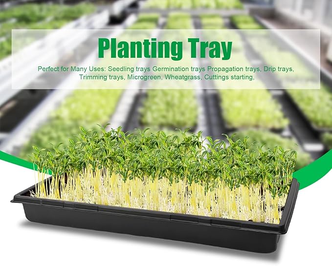 20 Pcs Plant Growing Nursery, Standard 1020 Trays Plastic Sturdy Farmer Self Seedling Tray for Microgreens Indoor Nursery Pots Transplantation (20-Pack, 21.6"×11.2", 2.52" Deep, no Holes)