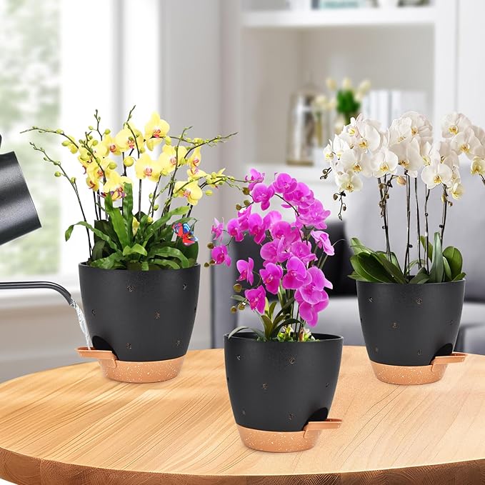 6 Inch Orchid Pots with Holes, 2 Pack Self Watering Planters for Orchids Plastic Orchid Pot Plant Flower Pots for Orchids Indoor Outdoor (Black with Brown)