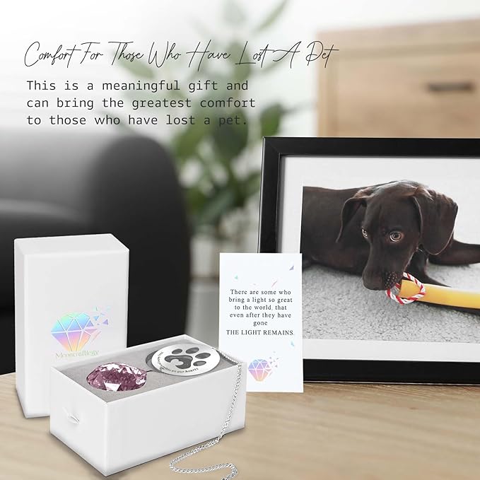 Dog Memorial Gifts, Unique Loss of Pet Sympathy Idea, Pink Crystal Ball Rainbow Suncatcher with Paw Print for Cat or Dog Remembrance and Bereavement