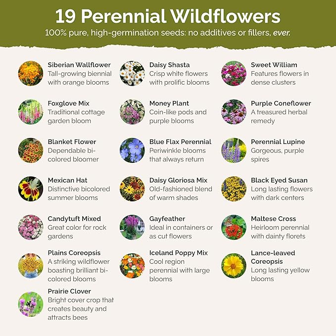 Eden Brothers All Perennial Wildflower Mixed Seeds for Planting, 5 lb, 2,400,000+ Seeds with Lupine, Shasta Daisy| Attracts Pollinators, Plant in Spring or Fall, Zones 3, 4, 5, 6, 7, 8, 9, 10
