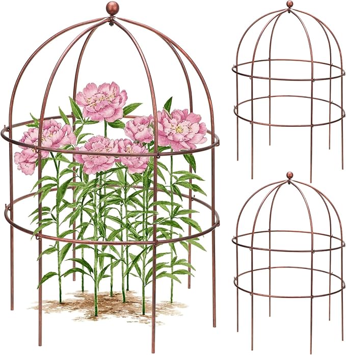 2 Pcs Jardin Bird Cage Plant Support 25" H Large Sturdy Grow-Through Flower Support Peony Cage Climbing Plant Support Trellis Sculptural Garden Decor for Perennial Flowers Vintage Gold