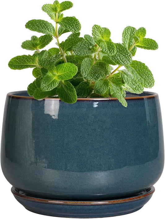 G EPGardening Ceramic Pots for Plants - 4 inch Plant Pots for Indoor Outdoor, Small Planter with Drainage Hole & Tray, Modern Succulent Pots, Round Planter, Office Decor, Home Gifts, Retro Blue