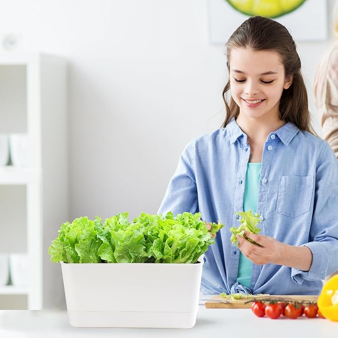 Herb Garden Planter Indoor Kit Self Watering Pots for Indoor/Outdoor Plants 2 Packs Windowsill Plant Pots with Drainage and Tray, Window Pot for Indoor Plants