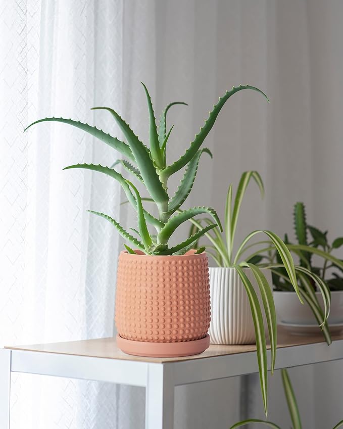 D'vine Dev 6 Inch 4 Inch Terracotta Indoor Planter Pots with Drainage Hole and Saucer, Beaded Design Flower Pots, Set of 2, Terracotta Color, 27-D-U-7