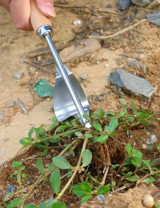 2 Pack Weed Puller, Manual Hand Weeder Paver, Stainless Steel Crevice Weeding Digger Tool, Paving Brick Moss Removal, L-Shape Gardening Crack Sickle for Sidewalk, Patio, Lawn Edger and Driveway