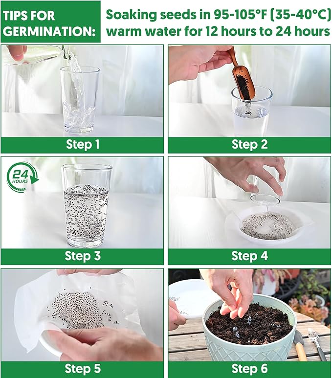 600+ Pepper Seeds, Heirloom Vegetable Seed for Planting Indoor Outdoor, 10 Varieties Hot and Bell Pepper (Capsicum Annuum) Seeds Garden Kit, Non-GMO Home Fresh Food Hydroponic Veggie Supply