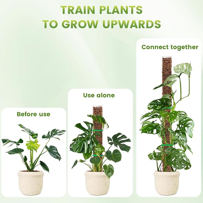 EOX 8 Pcs 24 Inch Plastic Moss Pole for Plants Monstera, Plant Poles for Climbing Plants, Plant Support for Indoor Plants Work with Sphagnum Moss, Garden Ties