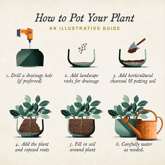 ARBORA 26" Santorini Bowl Polyresin Indoor and Outdoor Planter with Classic Black Finish - Durable, Weatherproof, Lightweight, Large Plant Pot for Patio, Garden, Deck, Entryway