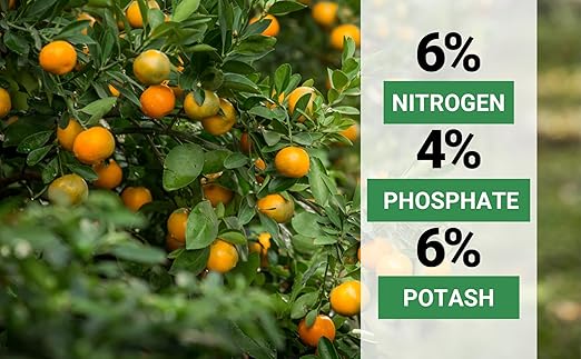 6-4-6 Avocado, Mango Citrus Tree Professional Fertilizer, Plant Food Outdoor/Indoor Gardening; Quick-Release Nitrogen Fertilizer; Orange, Lime, Avocado and Lemon Tree Fertilizer (1/2 QUART)