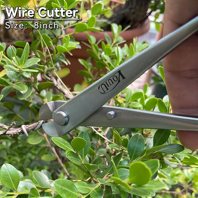 6-Piece Bonsai Tool Set,Concave Cutter,Knob Cutter,Jin Pliers,Wire Cutter,Bonsai Scissors, Root Hook