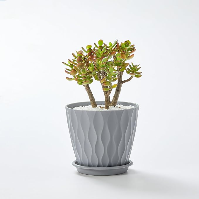 FaithLand 6-Pack 6-Inch Plastic Plant Pots with Saucers | Thickened PP Material, Modern Wave Texture, Enhanced Drainage for Indoor/Outdoor Garden Plants | Tricolor Value Set