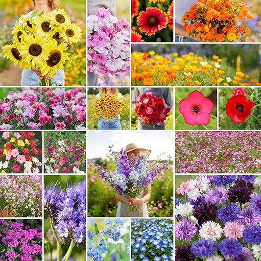 Eden Brothers All Annual Wildflower Mixed Seeds for Planting, 5 lb, 2,400,000+ Seeds with Sunflower, Indian Blanket, Scarlet Flax | Attracts Pollinators, Plant in Spring, Zones 3, 4, 5, 6, 7, 8, 9, 10