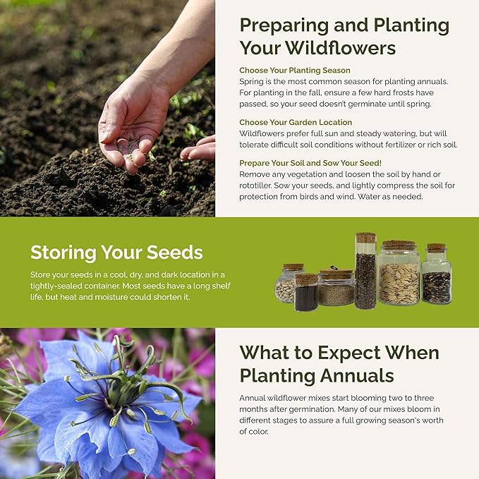 Eden Brothers Country Garden Flower Mixed Seeds for Planting, 1/4 lb, 120,000+ Seeds with Scarlet Flax, Cosmos Sensation | Attracts Pollinators, Plant in Spring or Fall, Zones 3, 4, 5, 6, 7, 8, 9, 10