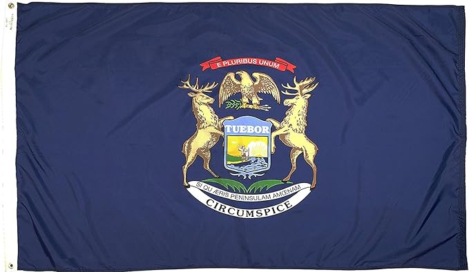 FlagSource Michigan Nylon State Flag, Made in the USA, 5x8'