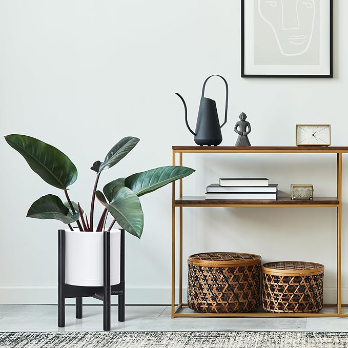 D'vine Dev Planter Pot with Stand - 8 Inch Plastic Cylinder Flower Pot with Wood Planter Holder for Indoor, Matte White Pot + Ebony Stand, 55-C-K-1