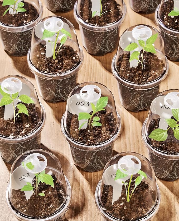 homenote Clear Nursery Pots for Plants,5 Inch Plant Pot for Planting with Humidity Domes Plastic Seedling with Drainage Holes Seed Starter Flower High Transparency (15 Pack)