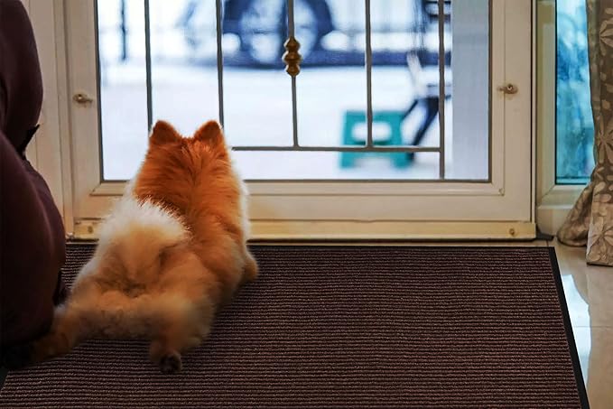 fani 2 PCS Heavy Duty Large Outdoor Indoor Entrance Doormat Brown Waterproof Low Profile Entrance Rug Front Door Mat Patio Anti-Skid Rubber Back, 31x47 inch (Brown)