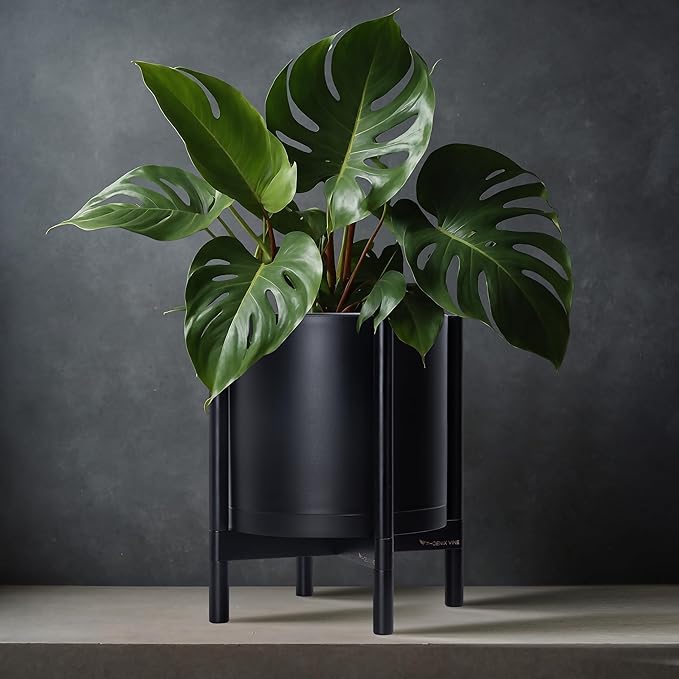 D'vine Dev Planter Pot with Stand - 12 Inch Plastic Cylinder Flower Pot with Wood Planter Holder for Indoor, Matte Black Pot + Ebony Stand, 55-C-Q-2