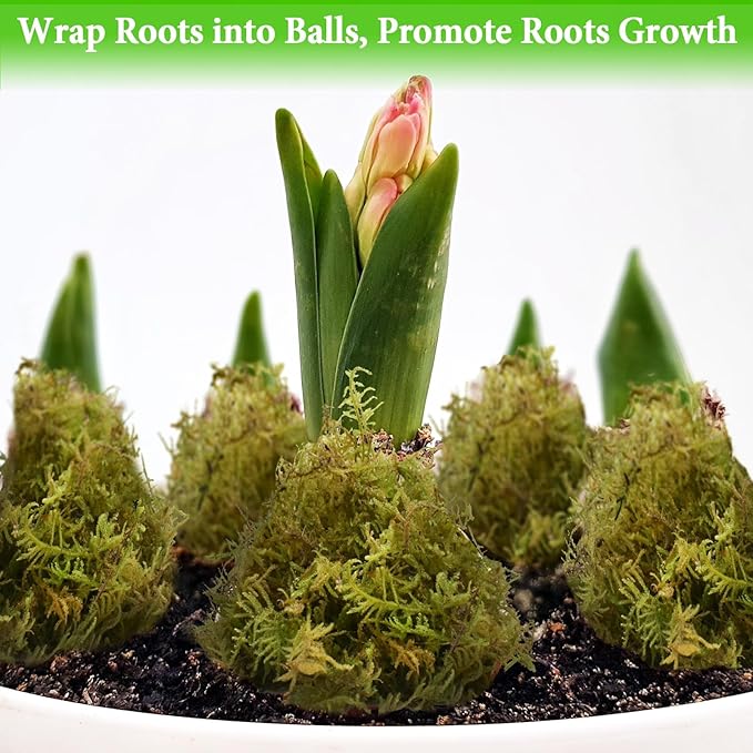 Halatool 3.3LB Green Forest Moss Natural Sphagnum Moss for Plants Fluffy Orchid Moss for Orchids Repotting Dried Plant Moss for Potted Plants Indoor & Outdoor