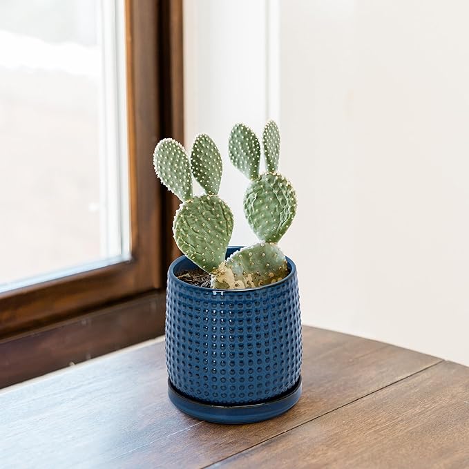 D'vine Dev 4 Inch Ceramic Beaded Stoneware Planter Pot - Flower Pot with Drainage Holes and Saucers for Indoor Succulent Plants or Flowers, Midnight Blue, 27-C-Z-3