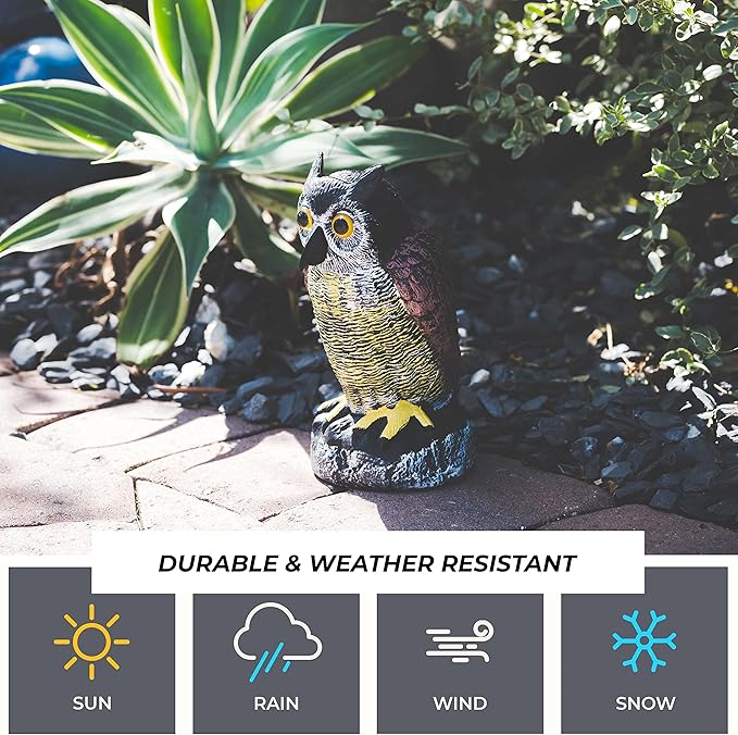 Galashield Owl Decoy to Scare Birds Away | Plastic Owls to Scare Birds Away | Owl Statue for Garden & Outdoors