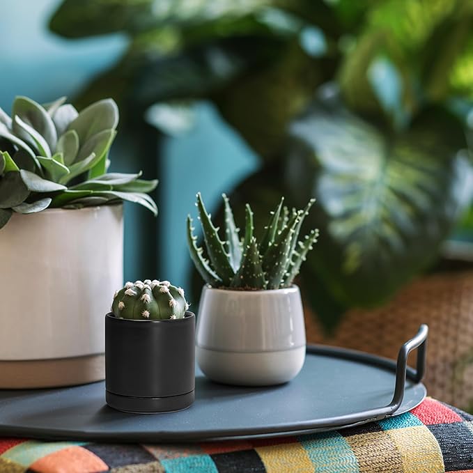D'vine Dev Set of 2 Plants Pots, 3.5 Inch Ceramic Planter Pot for Plants with Drainage Hole and Saucer, Black, 94-V-A-2