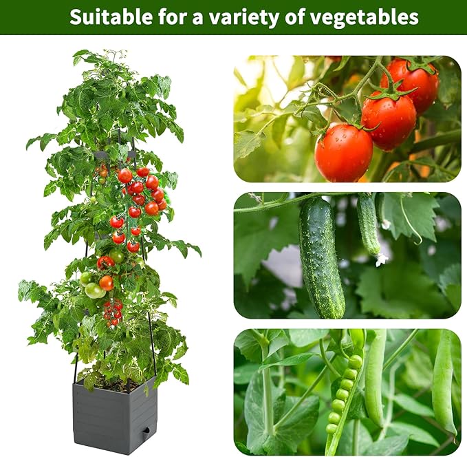 2 Pack Raised Garden Bed, Planter Boxes with Trellis 58.3'' Tomato Planters for Climbing Vine Vegetables Flowers Plants Self Watering Tomatoes Cage for Outdoor Patio Greenhouse